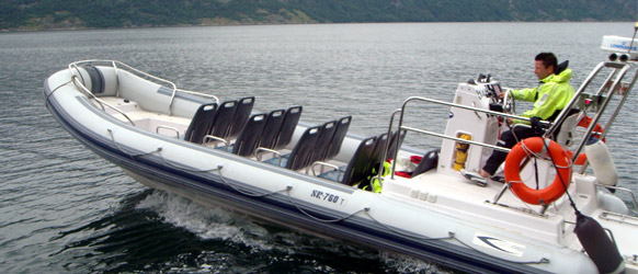 Fjordsafari RIB båt 19 Fjordsafari RIB båt 19